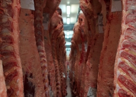 Proyectan que el país estará entre los cinco primeros exportadores de carne en 2019