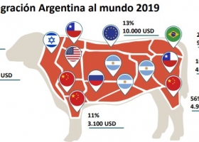 Radiografía de la exportación de carne: la integración argentina al mundo en 2019