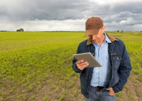 Tablero de riesgo agrícola. ¿Cuánto estás dispuesto a perder si las cosas salen mal?
