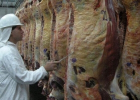 La producción de carne vacuna creció durante 2018