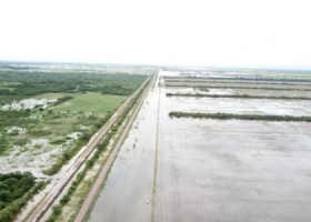 Aseguran que por las inundaciones se perdieron las cosechas de maíz, girasol y algodón en Santa Fe