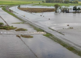 Pese a la inundación, la cosecha aportará US$ 28.000 millones a la economía