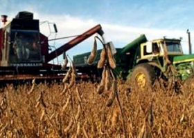 China redujo sus compras de soja a Argentina y Estados Unidos