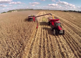Campaña agrícola con consecuencias por los excesos hídricos en Santa Fe, en algunas zonas comenzó la cosecha de maíz de primera y arroz