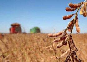 Soja, maíz y girasol aportarían un récord superior a las 100 millones de toneladas durante el ciclo 2018/19