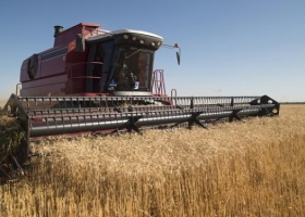Agroindustria lanza un nuevo monitor de indicadores agrícolas
