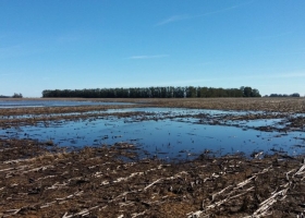 Santa Fe presentaría una leve mejoría en los suelos tras el temporal