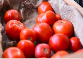 Recuperar el sabor del tomate: entre el mercado y el consumidor