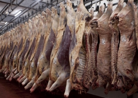 Aseguran que los cambios en el mercado ganadero y la situación económica complican a los frigoríficos