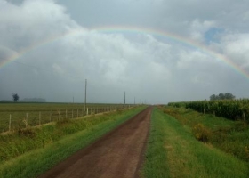 Anticipan jornadas inestables con lluvias sobre regiones productivas