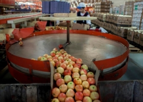 Brasil levantó la suspensión para las peras y manzanas de Argentina