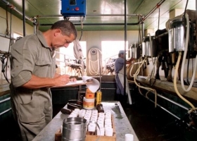 Desarrollaron un método para identificar la "huella dactilar" de la leche argentina