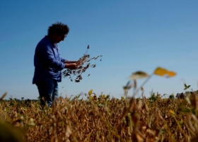 "Debemos planificar el año impositivo, como se hace con la producción"