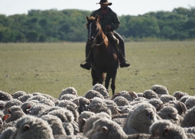 El salario mínimo de los trabajadores rurales permanentes pasó a $19.098