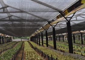 La plasticultura en Argentina: más productividad y menor consumo de recursos