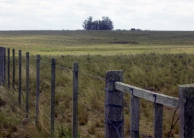 Logran crear una ley que prohíbe el uso de madera de bosques nativos para construir alambrados