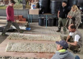 Usan lana de oveja de descarte para reducir el consumo de energía en viviendas
