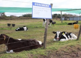 En 2020 los tambos tendrán una única guía de buenas prácticas