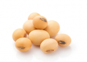 Califican de "trastorno administrativo" una norma sobre la compraventa de granos