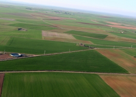 Censo Agropecuario: 236 mil establecimientos y 195 millones de hectáteras