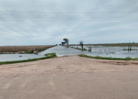 Por el cambio climático una zona que surgió con la soja ahora vive del trigo: igual este año no saben si podrán sembrarlo debido a las inundaciones