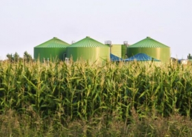 Economía circular: un concepto que integra campo, ciudad y ambiente