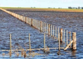 Inundaciones: con una inversión millonaria se recuperarán 2500 hectáreas productivas