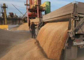 Señal para el mercado de trigo: una delegación de Estados Unidos visitó molinos en Brasil