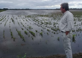 Chaco: la desesperación de los productores otra vez con sus campos inundados