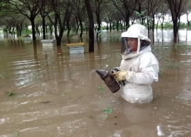 El drama de las inundaciones en Chaco: “Esperábamos la cosecha récord pero se fue todo con el agua”