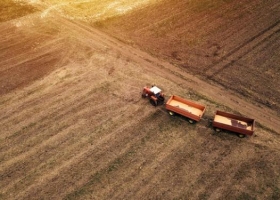 Soluciones innovadoras a cuatro problemas actuales del sector agropecuario