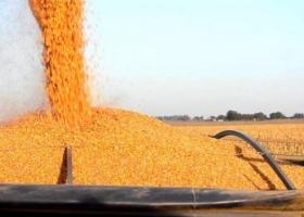 Reutilizar el agua: una oportunidad ante los retos de la agricultura.