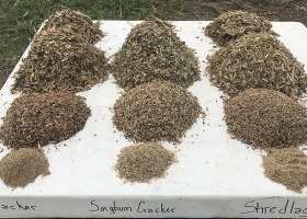 Presentaron el primer sorgo doble propósito igrowthth del mundo