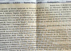 Lo intimaron a pagar US$ 54 mil en regalías por el canon de la soja Intacta y se destapó la polémica
