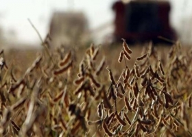 Con una tonelada de soja se compra un 39% menos de glifosato que hace un año
