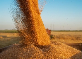 Realizaron 20 allanamientos por el default de $1000 millones de una corredora de cereales.