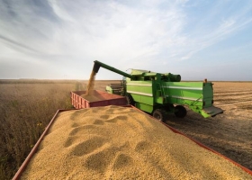Qué dice el documento sobre la situación del campo que la Rural hizo para el FMI.