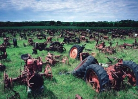 Siete mitos sobre el campo desterrados de raíz
