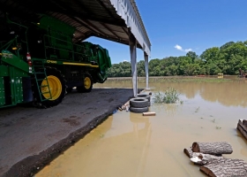 Cosecha: por el mal clima en EE.UU., la Argentina recupera US$1100 millones