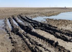 Los productores estadounidenses inundados cuentan con un seguro subsidiado que garantiza un ingreso mínimo: cómo funciona