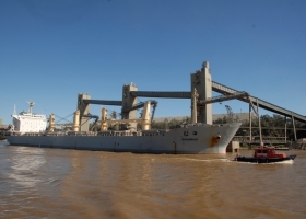 Primarización: aumentó en casi doce puntos la participación del poroto de soja sin procesar en la matriz exportadora argentina