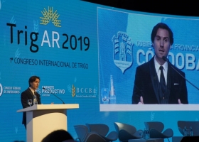 Impulsan un instituto de promoción del trigo para ganar nuevos mercados