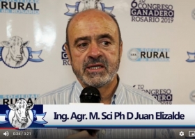 Estado actual de la producción de carne en la Argentina