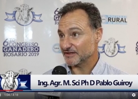 Producción mundial de carne