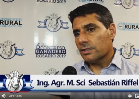 Los sistemas de producción de carne en la Argentina