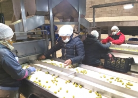 Empresas privadas con capital estatal: una provincia argentina implementó el modelo chino de desarrollo económico