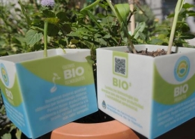 Argentina apuesta a la biomasa renovable con una estrategia a 4 años