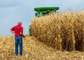 Cómo actúa una "potenciadora" que busca impulsar la innovación en el agro.