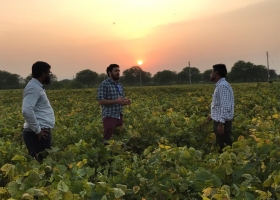 Argentina abrirá una Agregaduría Agrícola en India