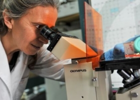 Cómo actúa en el organismo el mayor logro de la biomedicina